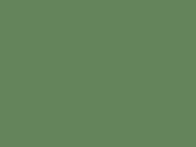 Ral-6011