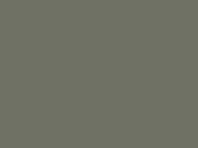 Ral-7006
